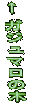  KW}̖
