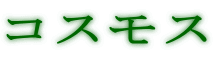 RXX
