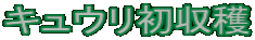 LEn
