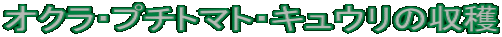 INEv`g}gELE̎n