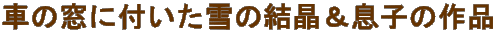 Ԃ̑ɕťq̍i