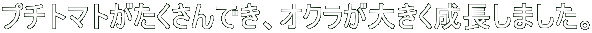v`g}głAIN傫܂B 