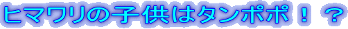 q}̎q̓^||IH 