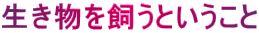 Ƃ 