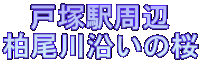 ˒ˉw
쉈̍
