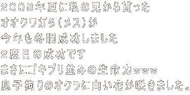 QOOWNĂɎ̌Z IINK^iXj N~܂@@ Qxڂ̐ł ܂ɃSLu݂̐www qS̃INɔԂ炫܂B 