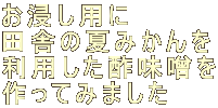 Zp cɂ̉Ă݂ p|X Ă݂܂ 