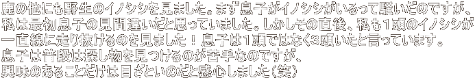 ̑ɂ쐶̃CmVV܂B܂qCmVVđ̂łA ͍ŏq̌ԈႢƎvĂ܂B̒AP̃CmVV ꒼ɑ蔲̂܂Iq͂Pł͂ȂRƌĂ܂B q͕i͒T̂Ȃ̂łA ̂邱Ƃ͖ڂƂ̂ƊS܂i΁j 