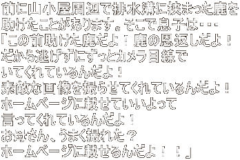 OɎRӂŔraɋ܂ Ƃ܂Bőq́EEE ȗOỈԂI 瓦ɂƃJڐ ĂĂ񂾂I fGȉ摜B点ĂĂ񂾂I z[y[WɍڂĂ ĂĂ񂾂I ꂳA܂BꂽH z[y[Wɍڂ񂾂IIv 