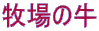 q̋