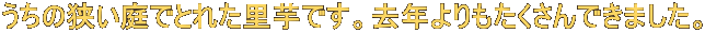 ̋łƂꂽłBNł܂B 