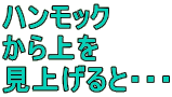 nbN

グƁEEE
