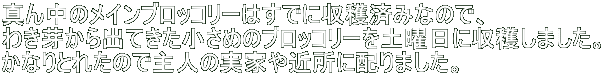 ^񒆂̃CubR[͂łɎnς݂Ȃ̂ŁA 킫肩oĂ߂̃ubR[yjɎn܂B ȂƂꂽ̂Ŏl̎Ƃߏɔz܂B 