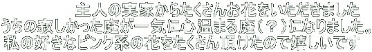 l̎Ƃ炽񂨉Ԃ܂   ̎₵낪CɐS܂iHjɂȂ܂B ̍DȃsNn̉Ԃ񒸂̂Ŋł   