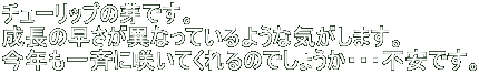 `[bv̉łB ̑قȂĂ悤ȋC܂B NĂɍ炢Ă̂ł傤EEEsłB 