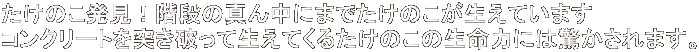 ̂IKi̐^񒆂ɂ܂ł̂Ă܂ RN[g˂jĐĂ邽̂̐͂ɂ͋܂B