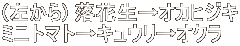 () ԐIJqWL ~jg}gLEIN 