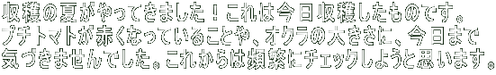 n̉ĂĂ܂I͍n̂łB v`g}gԂȂĂ邱ƂAIN̑傫ɁA܂ CÂ܂łBꂩ͕pɂɃ`FbN悤Ǝv܂B 