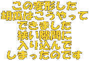 ̕ό`
ӉZ͂
ł܂
Ԃ
荞
܂̂ł
