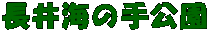 C̎
