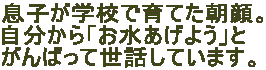 qwZňĂB
u悤v
΂ĐbĂ܂B
