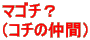 }S`H iR`̒ԁj