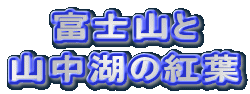 xmR
R΂̍gt
