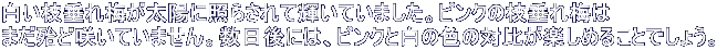}~zɏƂ炳ċPĂ܂BsN̎}~ ܂wǍ炢Ă܂Bɂ́AsNƔ̐F̑Δ䂪y߂邱Ƃł傤B 