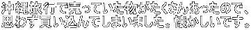 ꗷsŔĂ񂠂̂ŁA v킸ł܂܂BłB 