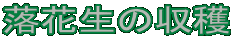 Ԑ̎n 