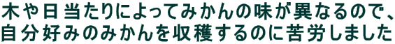 ؂ɂĂ݂̖قȂ̂ŁA
D݂݂̂n̂ɋJ܂
