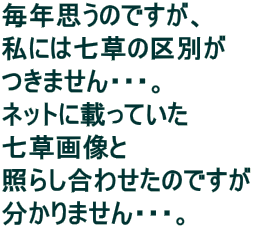 Nv̂łA ɂ͎̋ʂ ܂EEEB lbgɍڂĂ 摜 Ƃ炵킹̂ł ܂EEEB 