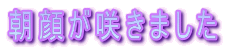 炪炫܂
