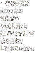 ̉摜 QOOVN ꗷs ̂Ƃɔ ~jpCibvN ނ ĂĂ܂  