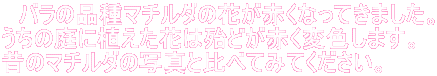 @o̕i}`_̉ԂԂȂĂ܂B
̒ɐAԂ͖wǂԂϐF܂B
̂̃}`_̎ʐ^ƔׂĂ݂ĂB
