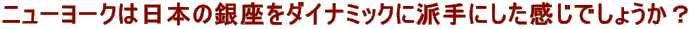j[[N͓{̋_Ci~bNɔhɂł傤H
