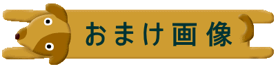 @ ܂摜 