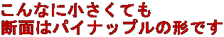 ȂɏĂ fʂ̓pCibv̌`ł 