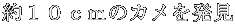 PÕJ𔭌