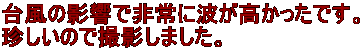 䕗̉eŔɔgłB ̂ŎBe܂B 