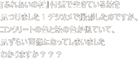 wӂꂠ̑xt߂ŐĂւ ܂IfWJŎBêłA RN[g̐FƎւ̐FĂāA 炢摜ɂȂĂ܂܂ 킩܂HHH 
