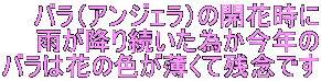 oiAWFj̊JԎ
J~葱ׂN
o͉Ԃ̐FĎcOł
