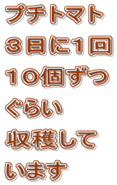 v`g}g
RɂP
PO
炢
n
܂
